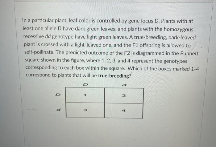 In A Particular Plant Leaf Color Is Controlled Chegg 