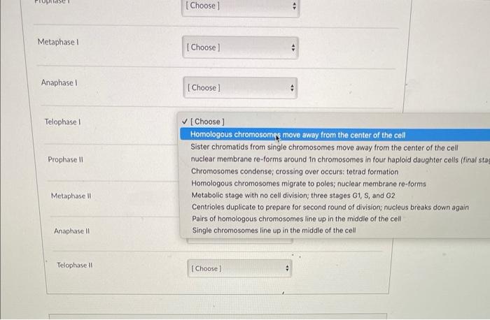Solved Match the following stages of Meiosis with their | Chegg.com