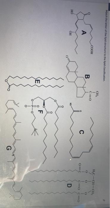 Solved Match the letter of the lipid structure to the lipid | Chegg.com