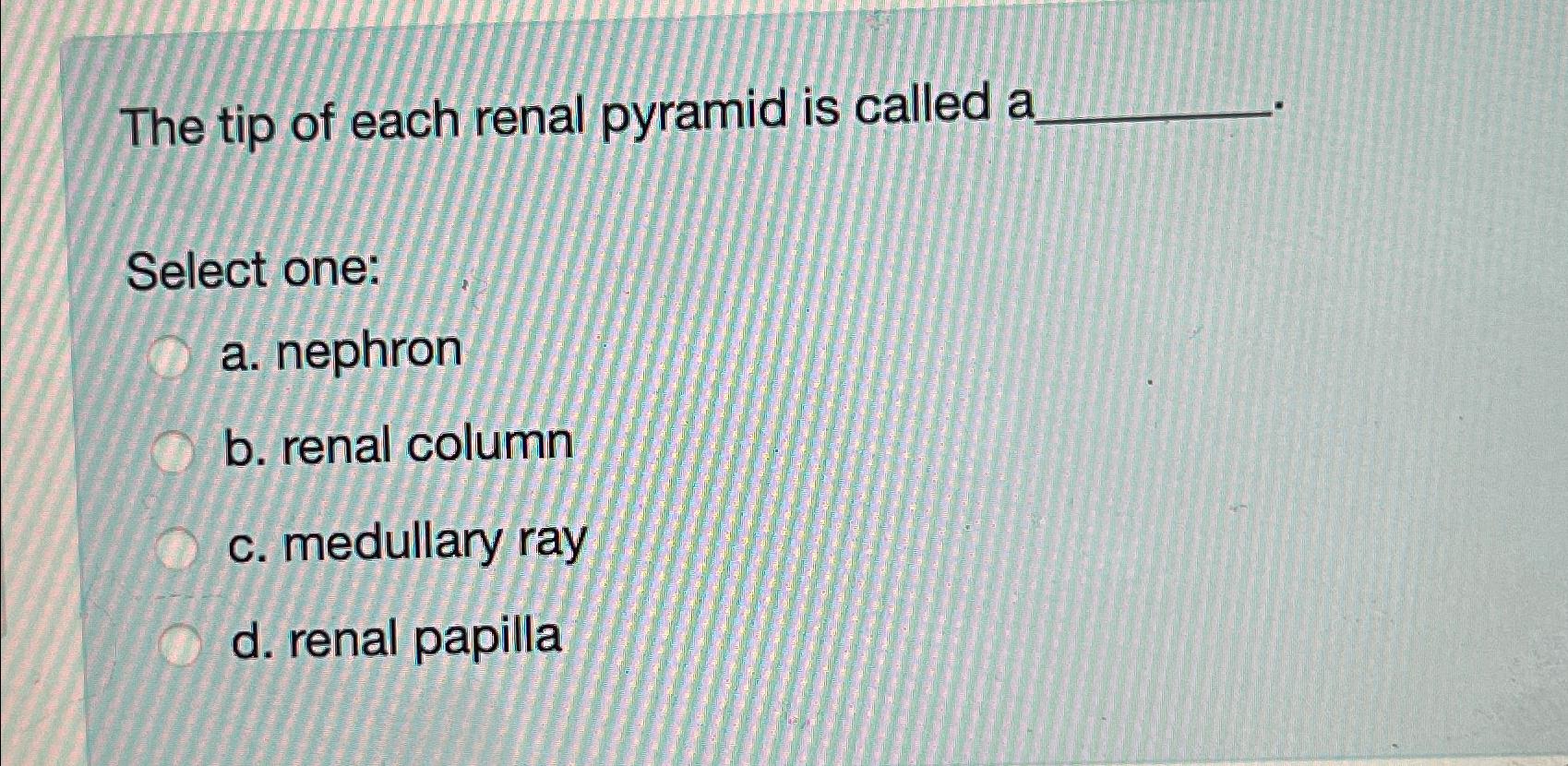 Solved The tip of each renal pyramid is called aSelect | Chegg.com