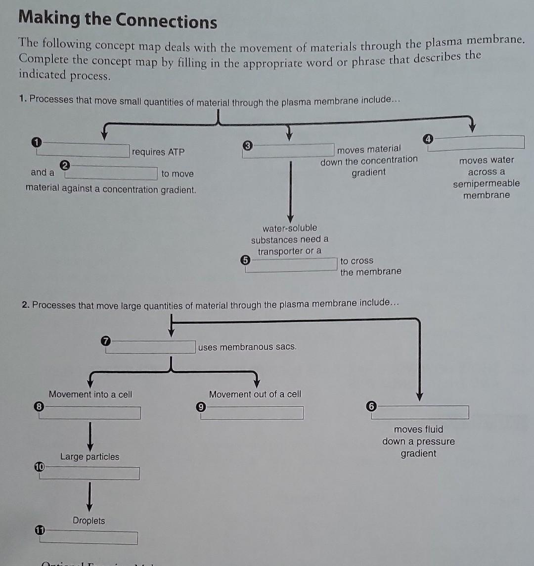 solved-making-the-connections-the-following-concept-map-chegg