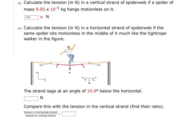 Solved (a) Calculate the tension (in N) in a vertical strand | Chegg.com