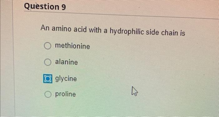 Solved An amino acid with a hydrophilic side chain is | Chegg.com