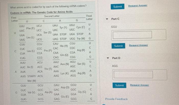 Solved Part A What is a point mutation? Drag the terms on | Chegg.com