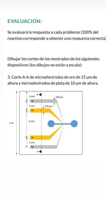 EVALUACIÓN: Se evaluará la respuesta a cada problema (100\% del reactivo corresponde a obtener una respuesta correcta) Dibuja