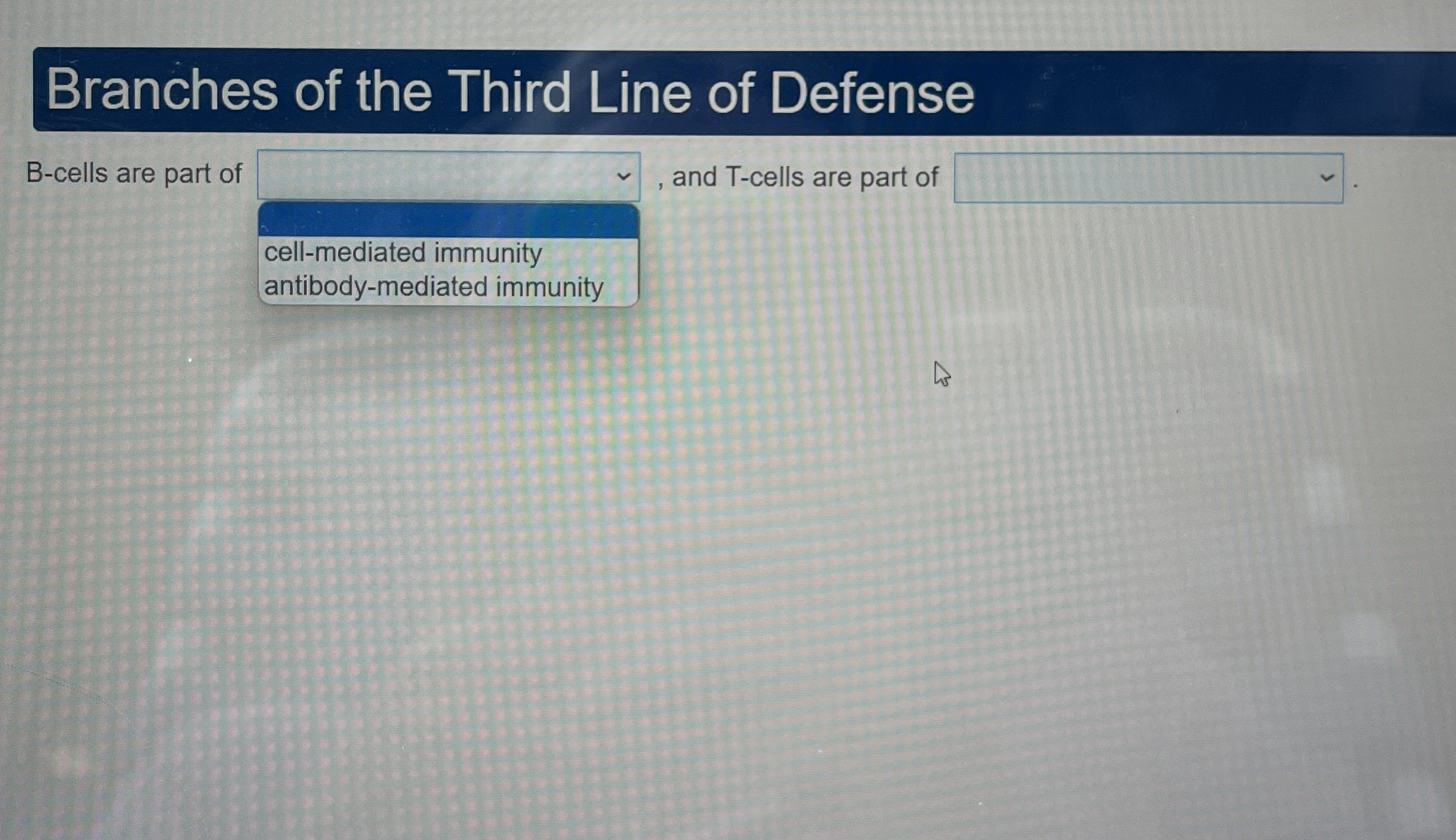 Solved Branches of the Third Line of DefenseB-cells are part | Chegg.com