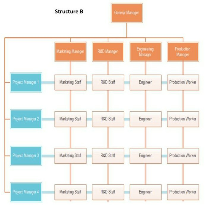 Solved Below you will find two organizational structures. | Chegg.com