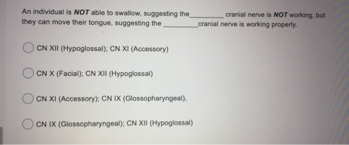 Solved Place the following structures in correct order from | Chegg.com