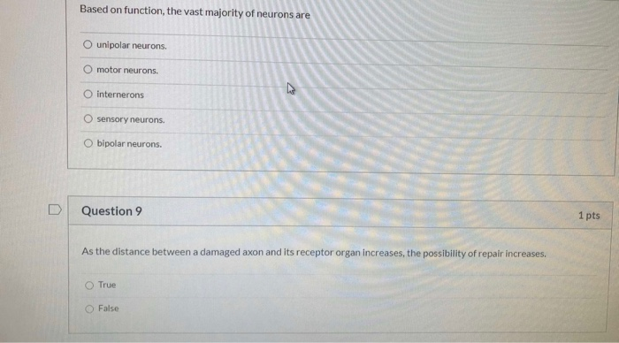 Solved Based on function, the vast majority of neurons are | Chegg.com