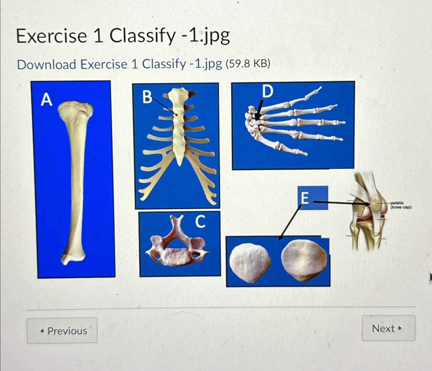 Solved Exercise 1 ﻿Classify -1.jpgDownload Exercise 1 | Chegg.com