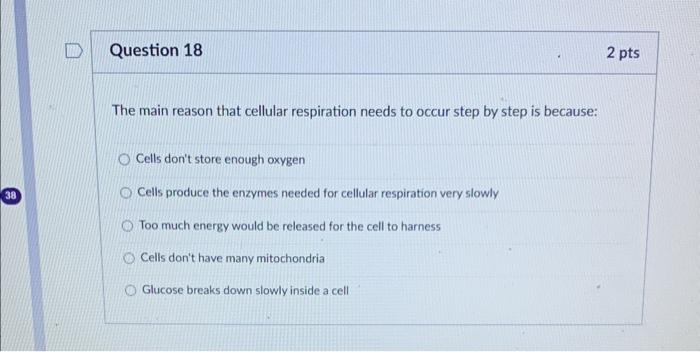 Solved The main reason that cellular respiration needs to | Chegg.com