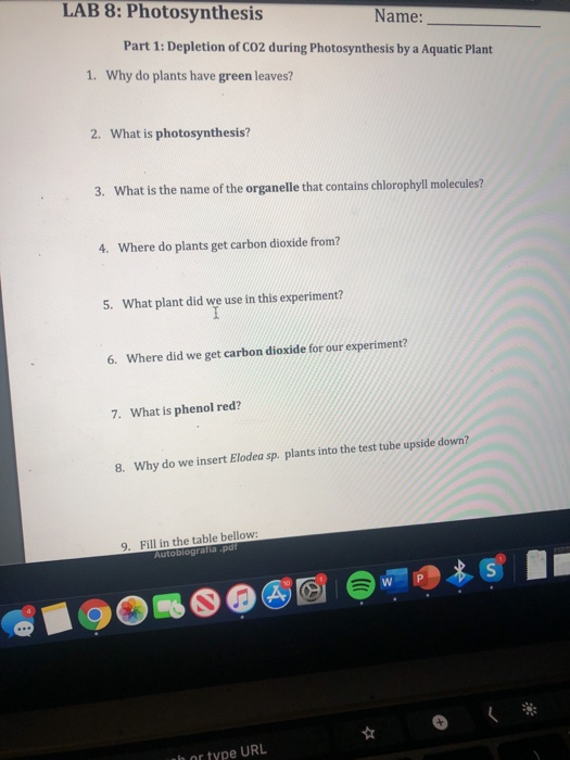 Solved LAB 8 Photosynthesis Name Part 1 Depletion of CO2