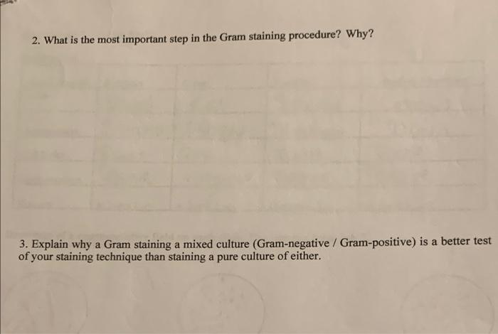 2. What is the most important step in the Gram staining procedure? Why?
3. Explain why a Gram staining a mixed culture (Gram-