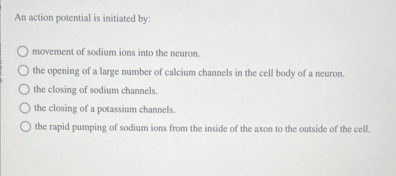 during an action potential the movement of sodium ions into a neuron