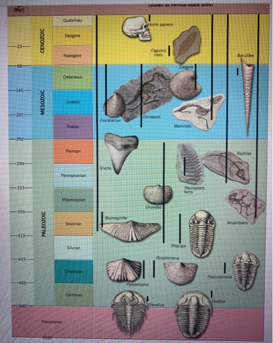 Based On Its Fossils. D. Using Fig. 8.13 . | Chegg.com