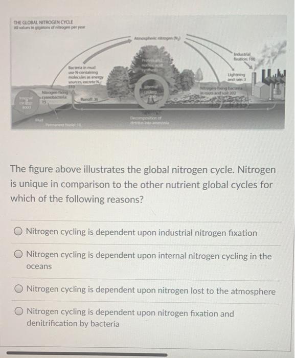 Solved THE GLOBAL NITROGEN CYCLE Alsof nitrogen per year | Chegg.com