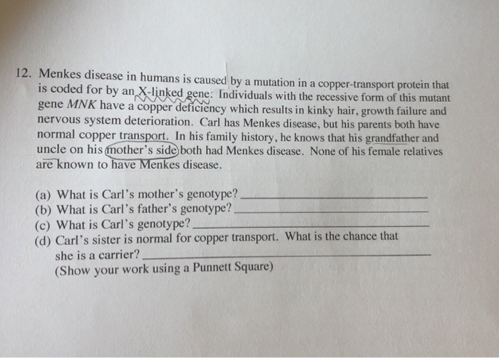 Solved 12 Menkes Disease In Humans Is Caused By A Mutati
