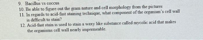 9. Bacillus vs coccus
10. Be able to figure out the gram nature and cell morphology from the pictures
11. In regards to acid-