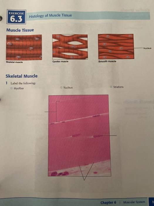 Solved EXERCISE 1 C 6.2 Question Worksheet Match the | Chegg.com