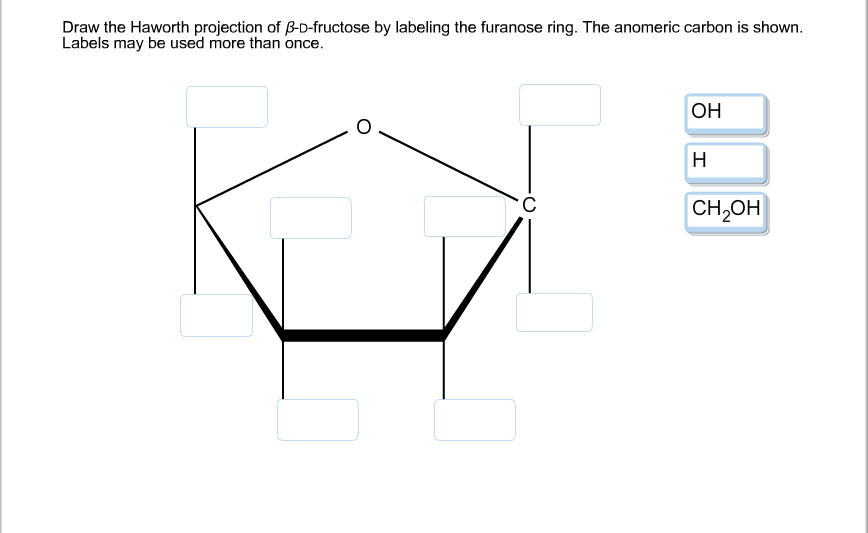 Solved Draw The Haworth Projection Of BetaDfructose By