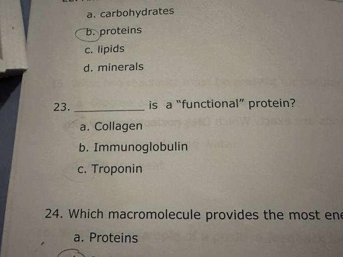 Solved A. Carbohydrates B. Proteins C. Lipids D. Minerals | Chegg.com