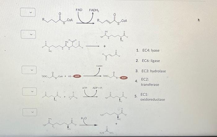 student submitted image, transcription available below