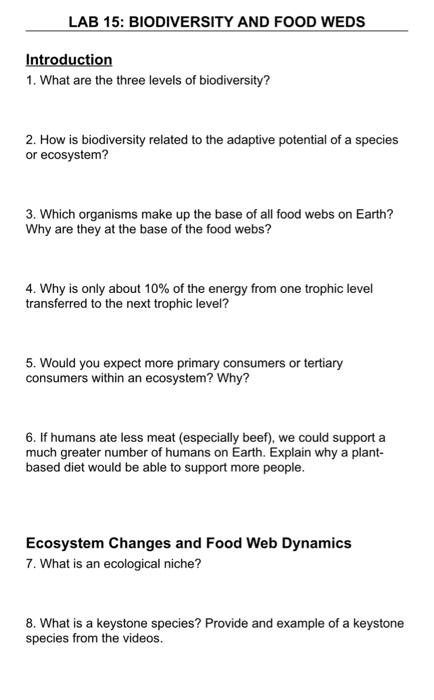 What Are the 4 Levels of the Food Chain? - Earth How