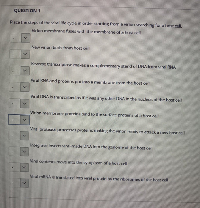 Solved QUESTION 1 Place the steps of the viral life cycle in | Chegg.com