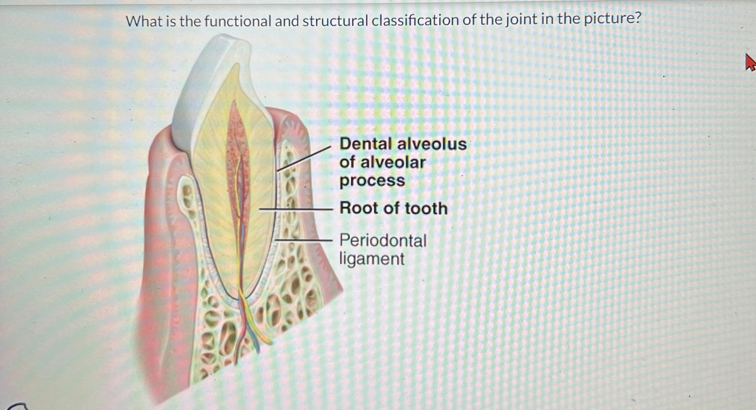 Solved What is the functional and structural classification | Chegg.com