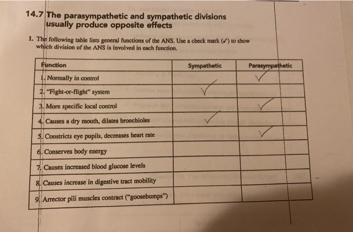 Solved 14.7 The parasympathetic and sympathetic divisions | Chegg.com