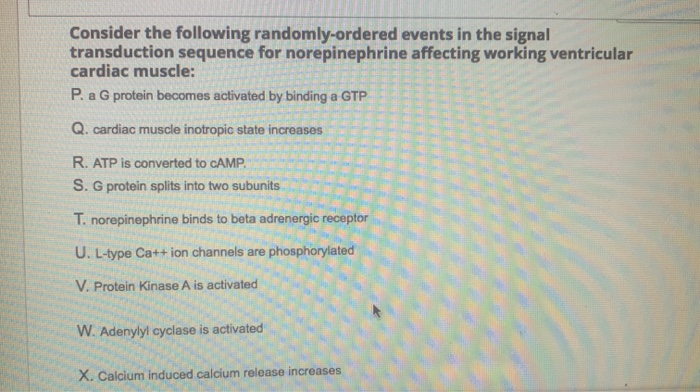 Solved Consider The Following Randomly Ordered Events In Chegg Com