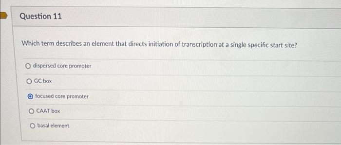 Solved Which term describes an element that directs | Chegg.com