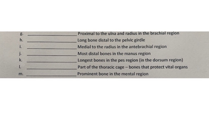 Solved Part II - Introduction to Bones INSTRUCTIONS: Use the | Chegg.com