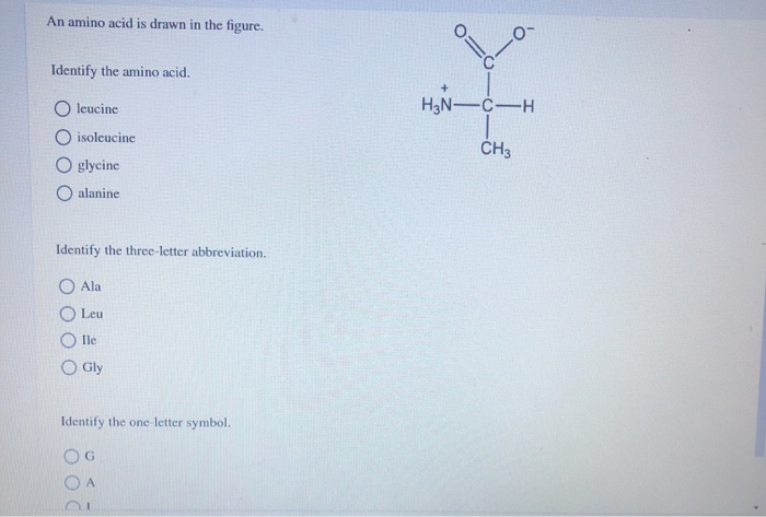 Solved An amino acid is drawn in the figure. Identify the | Chegg.com