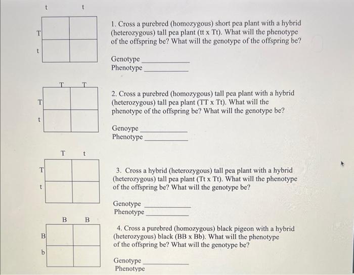 Solved 1. Cross a purebred (homozygous) short pea plant with | Chegg.com