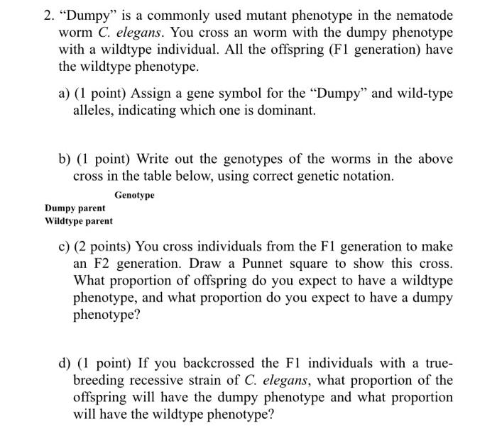 2. Dumpy is a commonly used mutant phenotype in the nematode worm \( C \). elegans. You cross an worm with the dumpy phenot