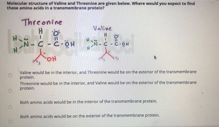 threonine amino acid structure