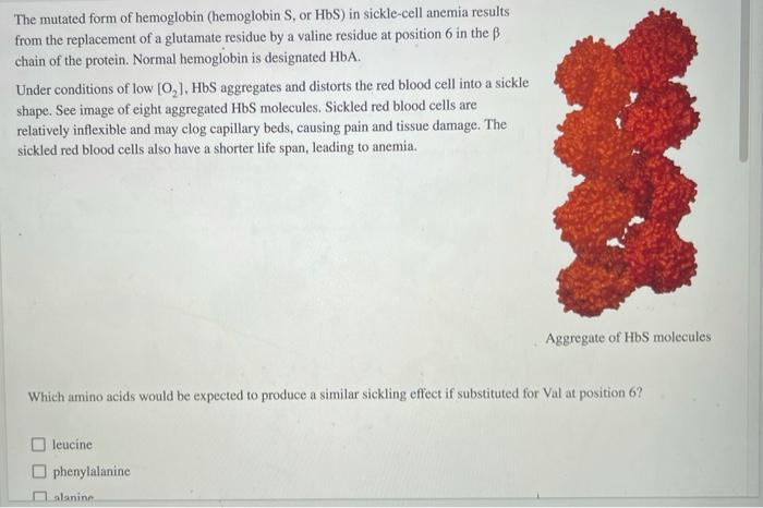 Solved The Mutated Form Of Hemoglobin (hemoglobin S. Or HbS) | Chegg.com