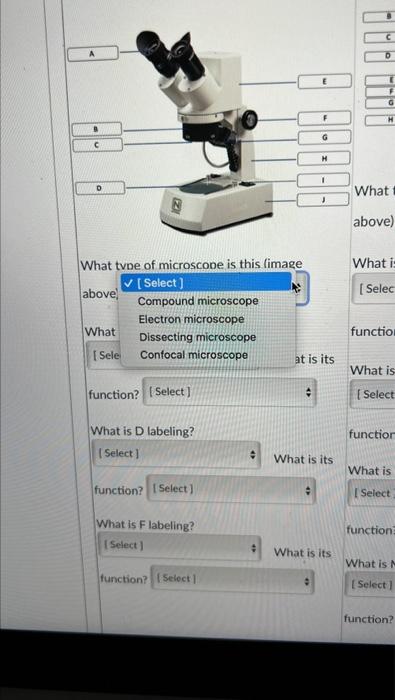Solved What type of microscope is this (image above)? What | Chegg.com