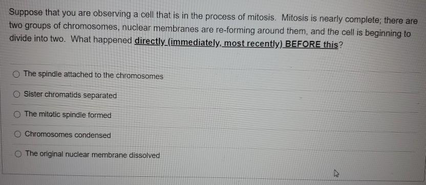 Solved Suppose that you are observing a cell that is in the | Chegg.com