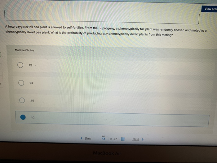 Solved This Question In The Previous Attempt Example Tall Chegg