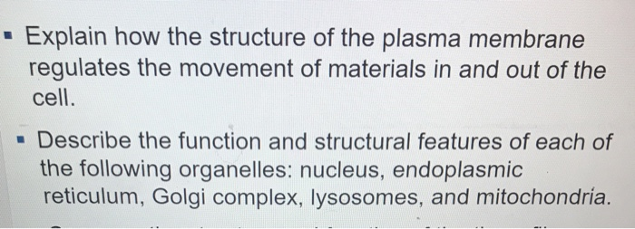 Solved Explain how the structure of the plasma membrane | Chegg.com