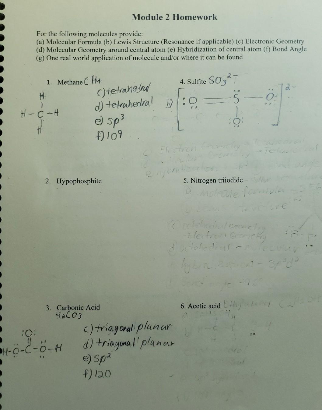 Solved Module 2 Homework For the following molecules | Chegg.com