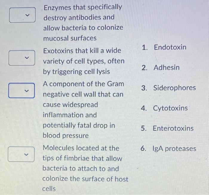 Solved Enzymes that specifically destroy antibodies and