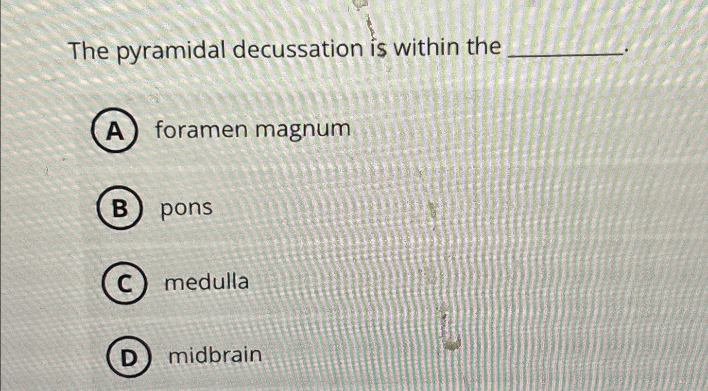 Solved The pyramidal decussation is within theforamen | Chegg.com