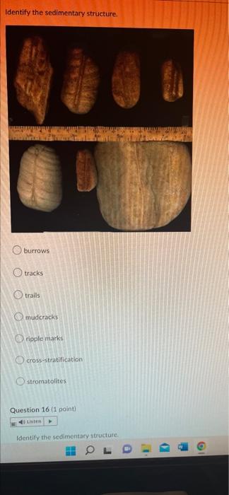 Identify the sedimentary structure.
168987
burrows
tracks
trails
mudcracks
ripple marks
cross-stratification
stromatolites
Qu