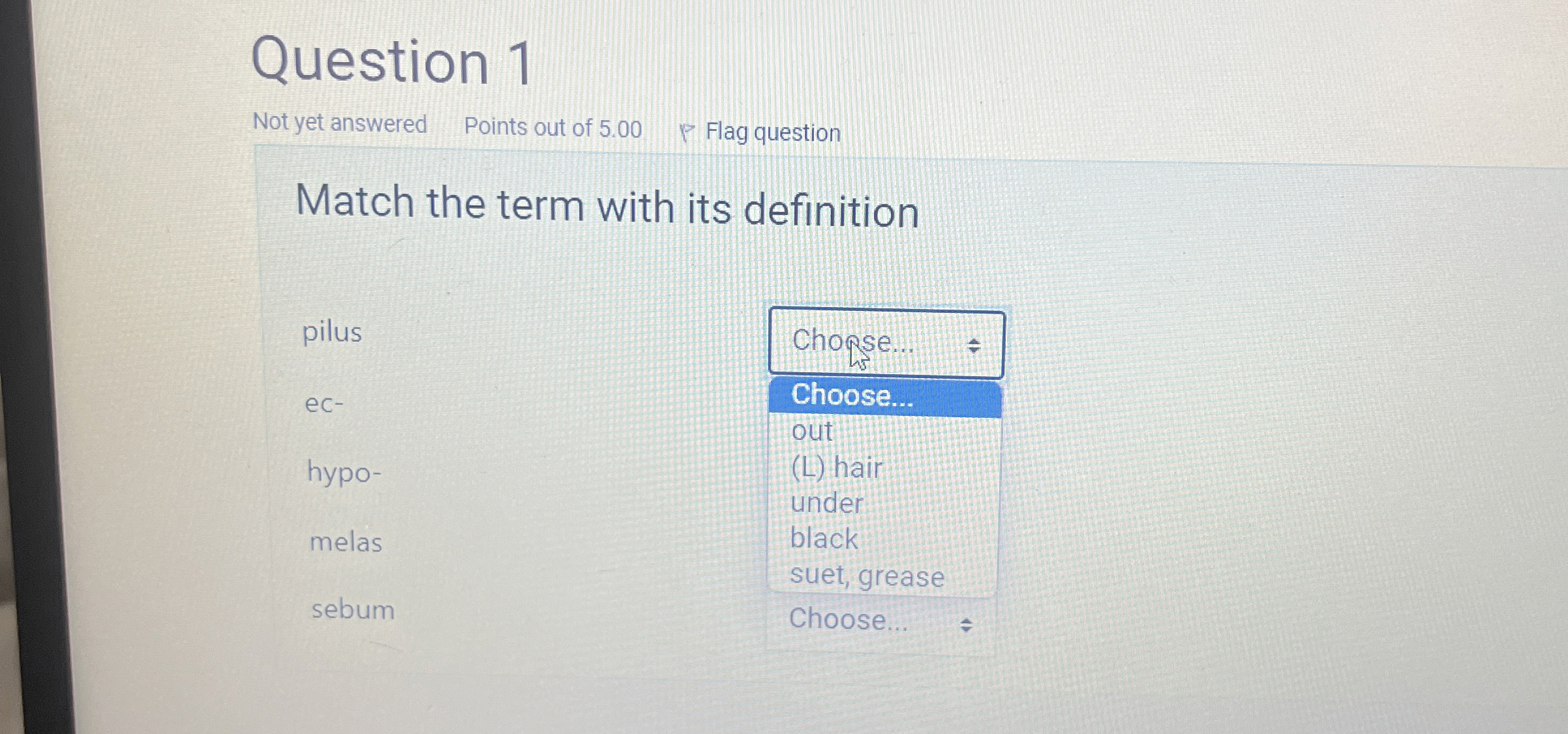 Solved Match the term with its