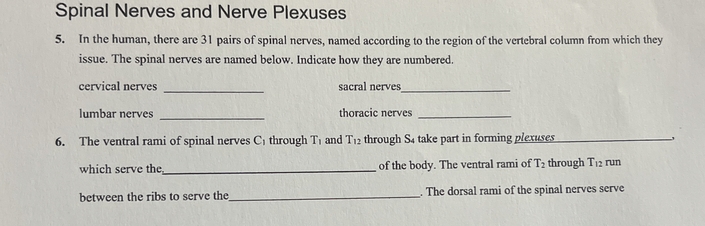 Solved Spinal Nerves and Nerve PlexusesIn the human, there