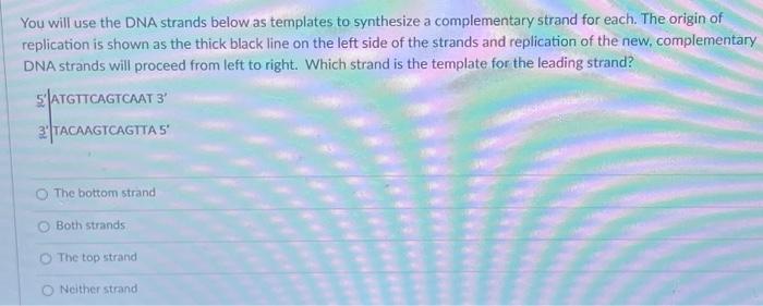 Solved You will use the DNA strands below as templates to | Chegg.com