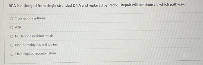 Solved RPA is dislodged from single stranded DNA and | Chegg.com